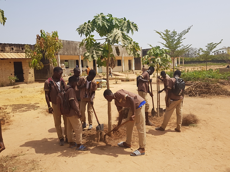 Een ecologische tuin in Boukitingho te Senegal